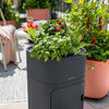 Image of Lechuza PILA Stick Planter