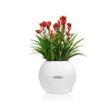 Image of Lechuza Puro 20 Diameter Self Watering Pot - 20cm