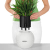 Image of Lechuza Puro 20 Diameter Self Watering Pot - 20cm