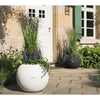 Image of Lechuza Puro 20 Diameter Self Watering Pot - 20cm