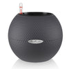 Image of Lechuza Puro 20 Diameter Self Watering Pot - 20cm
