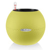Image of Lechuza Puro 20 Diameter Self Watering Pot - 20cm
