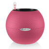 Image of Lechuza Puro 20 Diameter Self Watering Pot - 20cm