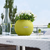 Image of Lechuza Puro 20 Diameter Self Watering Pot - 20cm