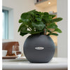 Image of Lechuza Puro 20 Diameter Self Watering Pot - 20cm