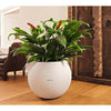 Image of Lechuza Puro 20 Diameter Self Watering Pot - 20cm