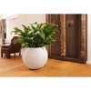 Image of Lechuza Puro 50 Self Watering Pot - 50cm