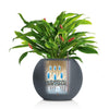 Image of Lechuza Puro 50 Self Watering Pot - 50cm