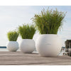 Image of Lechuza Puro 50 Self Watering Pot - 50cm