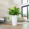 Image of Lechuza Rondo 32 Self Watering Pot - 32cm
