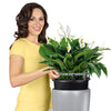 Image of Lechuza Rondo 32 Self Watering Pot - 32cm