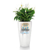 Image of Lechuza Rondo 32 Self Watering Pot - 32cm