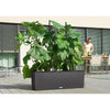 Image of Lechuza Trio 30 Cottage Self Watering Planter Trough