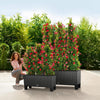 Image of Lechuza Trio 30 Cottage Self Watering Planter Trough