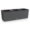 Image of Lechuza Trio 40 Cottage Self Watering Trough
