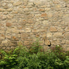 Image of Limestone Rubble Cladding & Ferns Custom Sized UV Printed Fence Cover