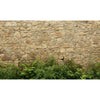 Image of Limestone Rubble Cladding & Ferns Custom Sized UV Printed Fence Cover