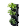 Image of Maze 3 Pot Vertical Garden Wall Planter (48cm x 16cm)