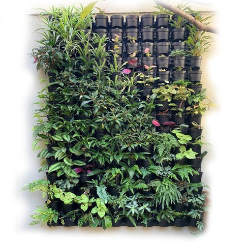 Maze Vertical Garden Wall Planter Kit - 50 Pots (78cm x 160cm)