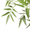 Image of Premium Natural Cane Artificial Bamboo (UV Resistant) 180cm