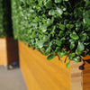 Image of Portable Artificial Boxwood Partition Hedge On Wheels 1m x 1m x 30cm UV Stabilised