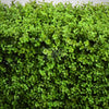 Image of Portable Artificial Buxus Hedge 75cm x 75cm x 25cm UV Stabilised