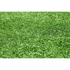 Image of Synthetic Grass 5sqm Roll-8mm