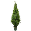 Image of UV Resistant Cypress Pine Tree, Various Sizes