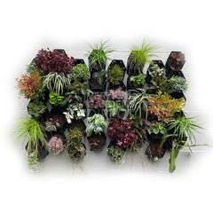 Vicinity Greenwall Vertical Garden Kit - 40 Pots