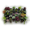 Image of Vicinity Greenwall Vertical Garden Kit - 40 Pots