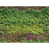 Image of Wall of Plants Custom Size UV Printed Fence Cover
