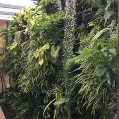 Wallgarden Original 10 Pot Vertical Garden Wall Kit