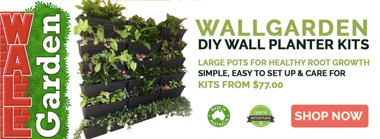 Wallgarden vertical planters for DIY vertical garden - Vertical Gardens Direct