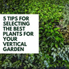 5 Tips for selecting the best plants for your vertical garden