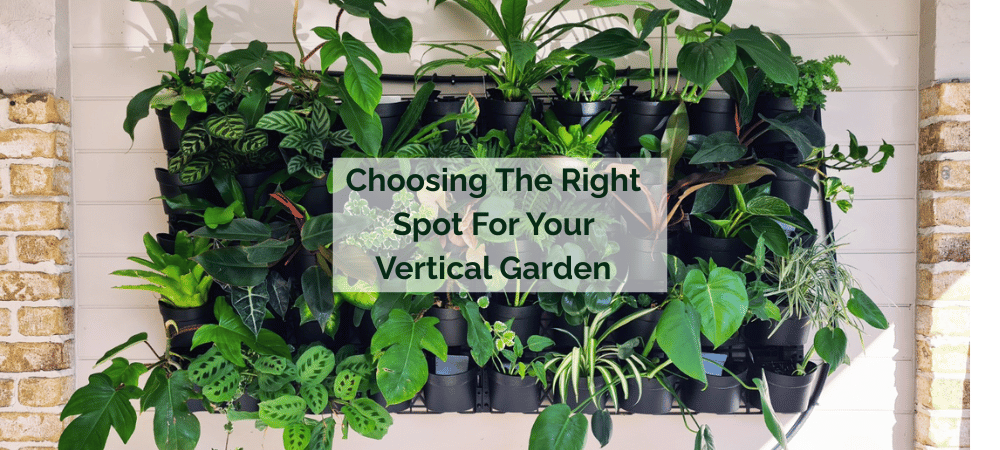 Picking the Right Spot for Your Vertical Garden