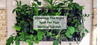 Picking the Right Spot for Your Vertical Garden
