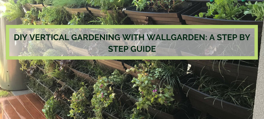 How To Build a Vertical Garden with Wallgarden: a step by step guide.