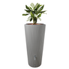Image of Rainwater Tank With Plants