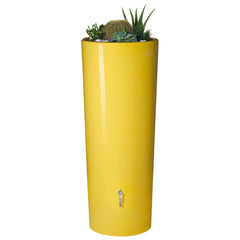 Yellow cylindrical minitank color planter with succulents on a white background