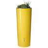 Image of Yellow cylindrical minitank color planter with succulents on a white background