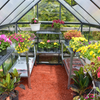 Image of Palram Hybrid Greenhouse 6x8 Inside View