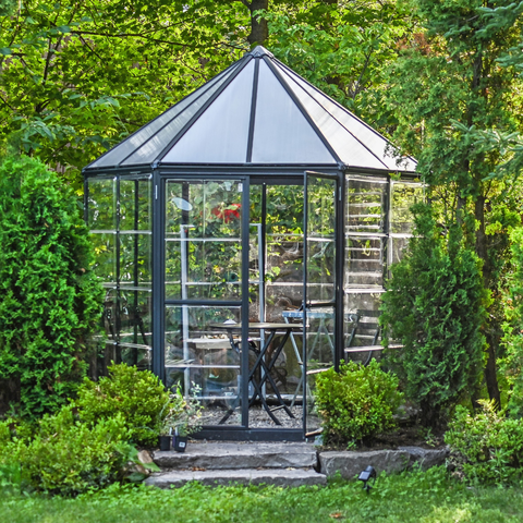 Oasis Hex Greenhouse In The Garden