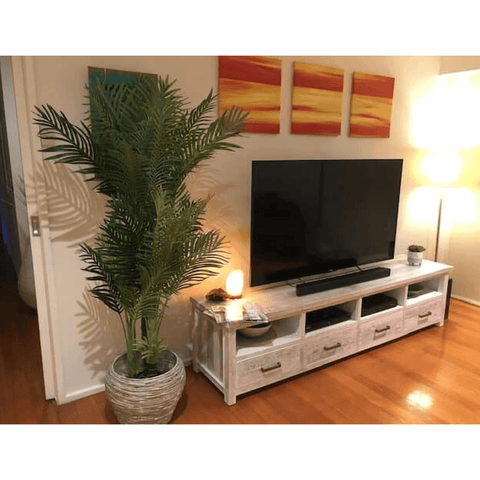 Multi Trunk Hawaii Palm 180cm In The Living Room