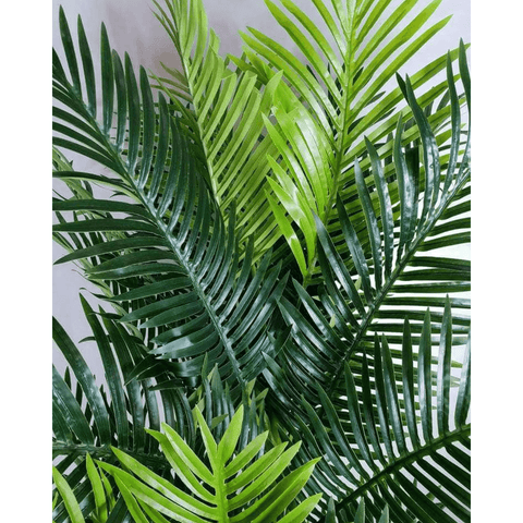 Multi Trunk Hawaii Palm 180cm Leaves Image 2