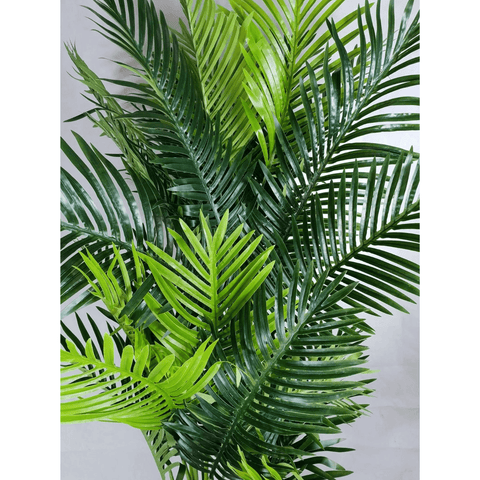 Multi Trunk Hawaii Palm 180cm Leaves