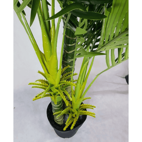 Multi Trunk Hawaii Palm 180cm Top View