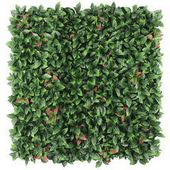 Artificial photinia hedge panel on a white background