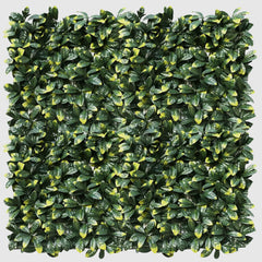 Artificial laurel leaf hedge panel on a white background