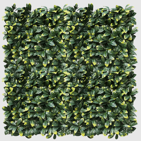 Artificial laurel leaf hedge panel on a white background