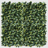 Image of Artificial laurel leaf hedge panel on a white background